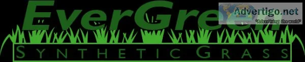 Evergreen synthetic grass