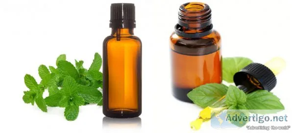 Mentha citrata oil manufacturers