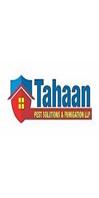 Termite Pest Control Services in in Mumbai