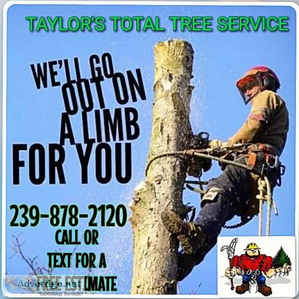 Total Tree Service - We Do It All