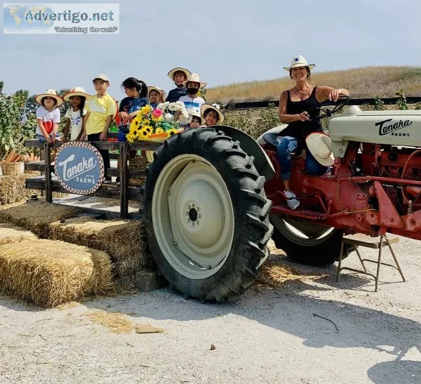 Spanish Summer Camp at Tanaka Farms