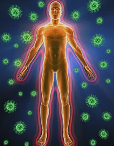 Bacterial flora for good bacteria in stomach - enterogermina