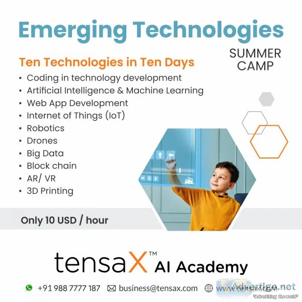 Ai summer camp