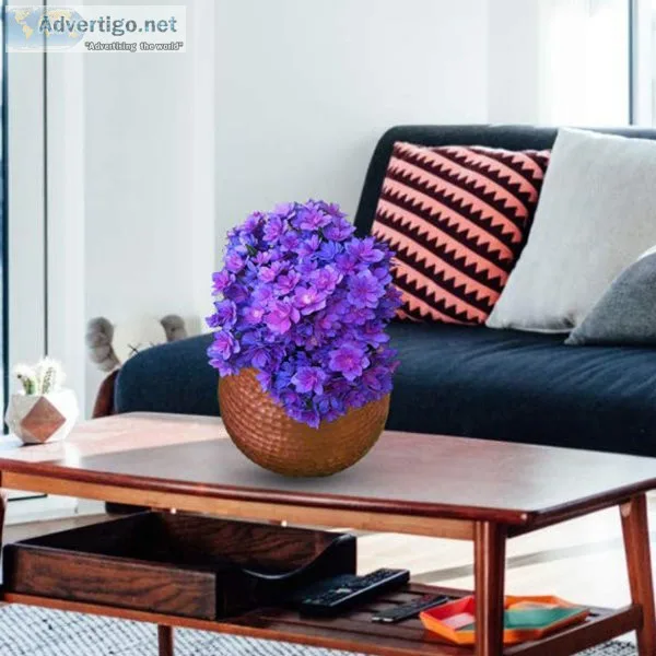 Get beautiful designs of planters at wooden street