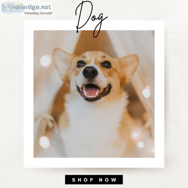 Fuegoguide