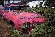 We buy junk cars Compramos Autos 