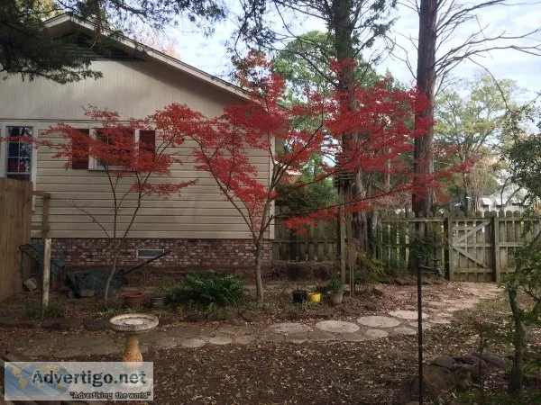 All Landscaping Tyler and Surrounding Areas