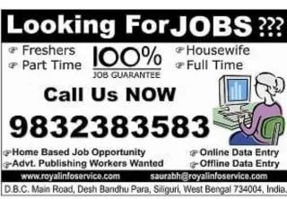 Online micro video ad entry job