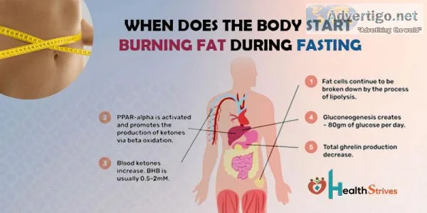 When does the body start burning fat during fasting?