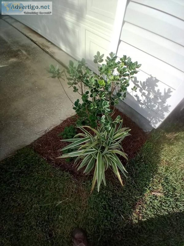 Landscaping and just about anything under the sun