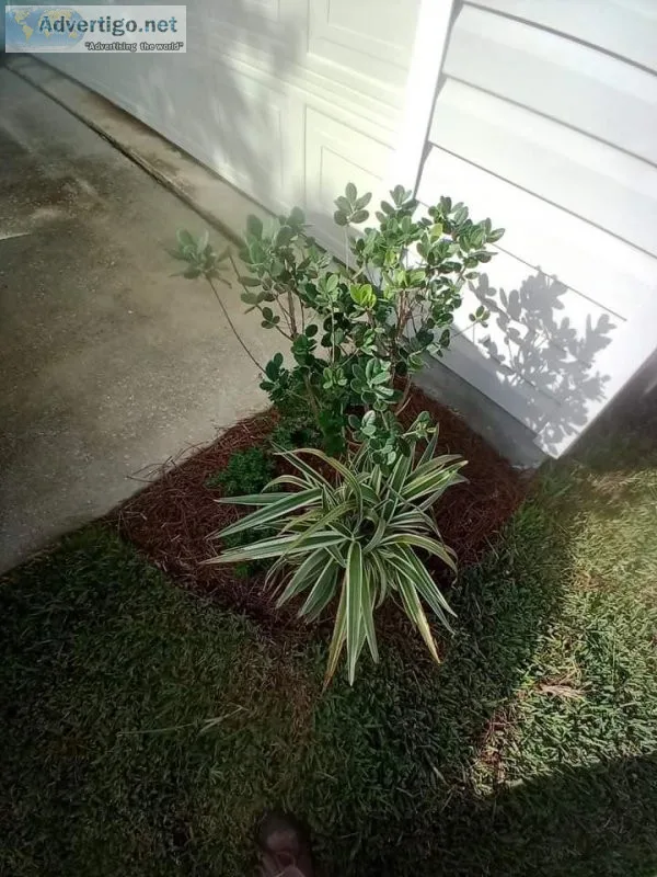 Landscaping and just about anything under the sun