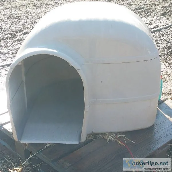 xxl doghouse