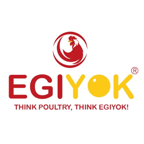 Tomorrow egg rate