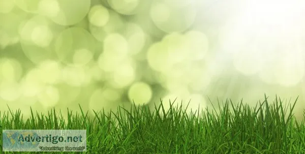 Empresas de jardineria en madrid