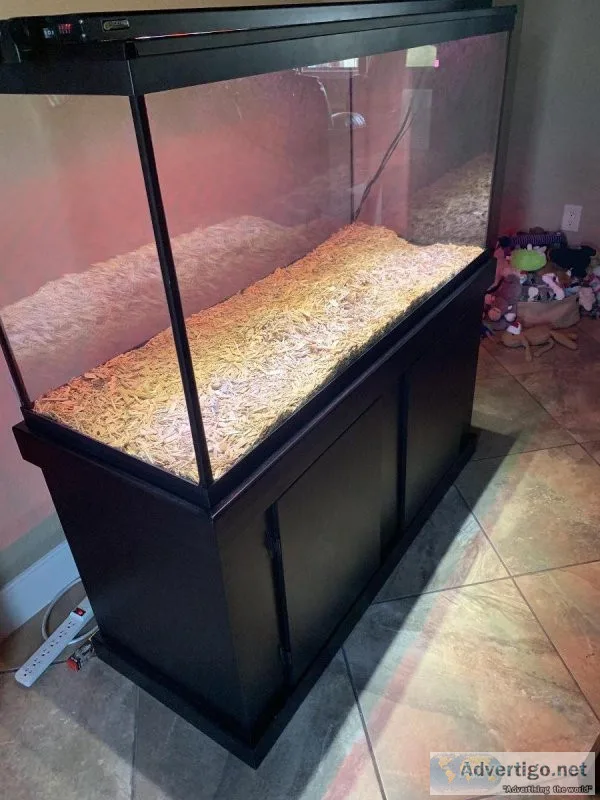 Aquariums 90 gal and 40 gal