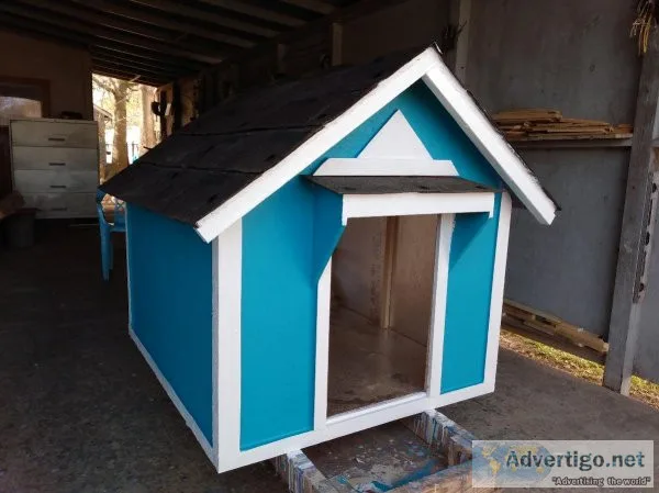 New dog house