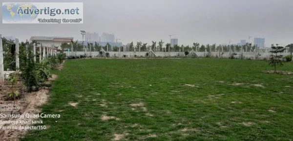 Plots in noida