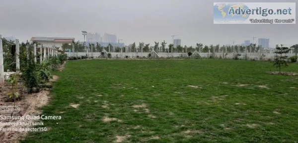 Choose your best plots in yamuna expressway