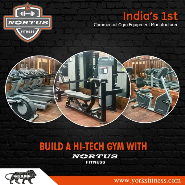 Untold things to know about gym equipment are out today