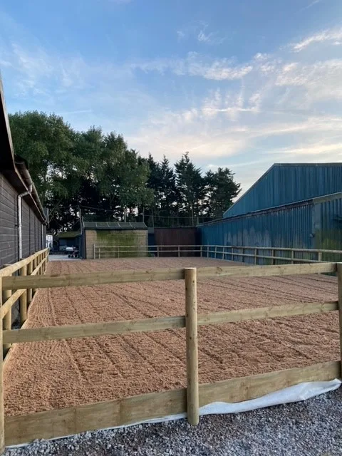 Horse turnout sand