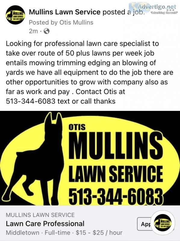 Professional lawn service worker