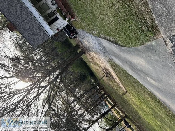 Settleforless lawncare service
