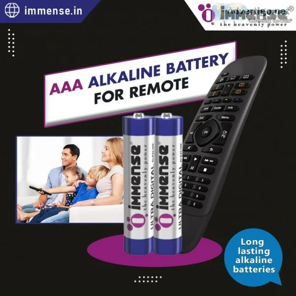 Buy aaa alkaline battery for toys immense