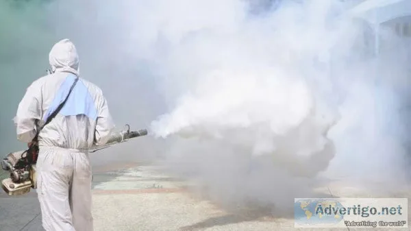 Jt solution