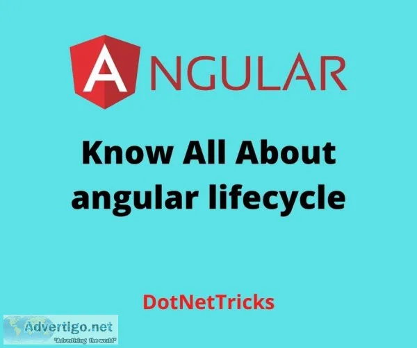 Know all about angular lifecycle - dotnettricks