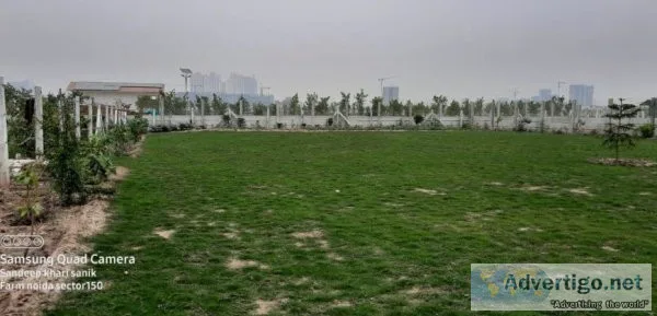 Yamuna expressway plots