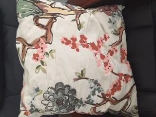 Throw Pillow