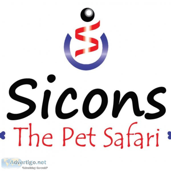 Pet Accessories Online