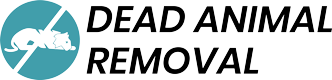Expert Dead Rat Removal Service in London - Deadanimalremoval.uk