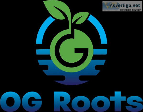Buy hydroponic vegetables