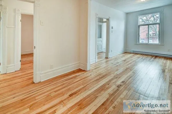 Grand logement r&eacutenov&eacute de 2 cac  bureau &agrave louer