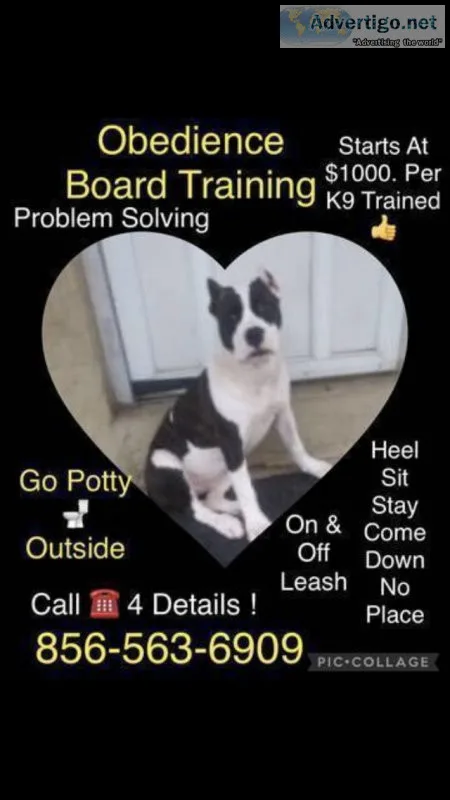 Perfect obedience training deal ????