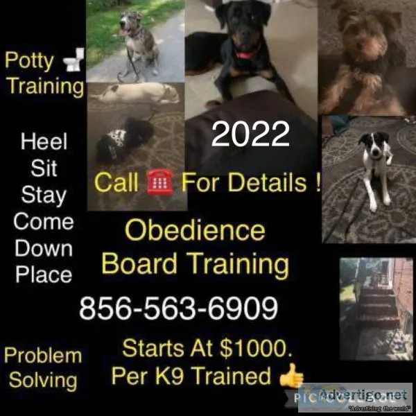 K9?s obedience more