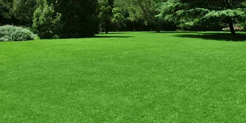 The pros of using fake grass on your lawn