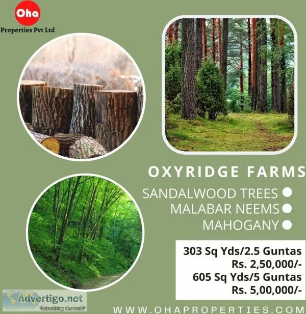 Farm lands for sale in hyderabad