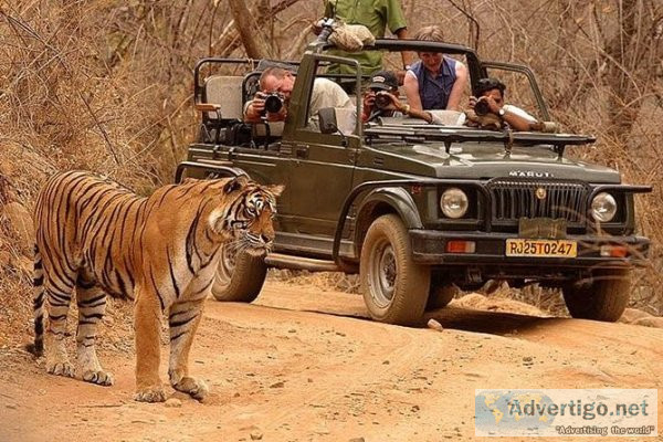 Ranthambore jeep safari booking