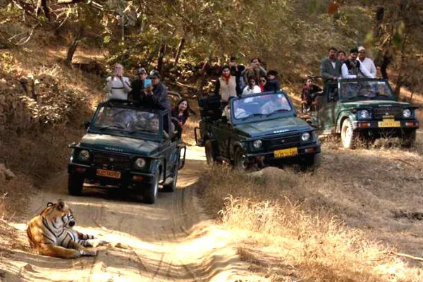 Ranthambore jeep safari booking