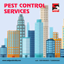 Pest control services in borivali by sadguru pest control