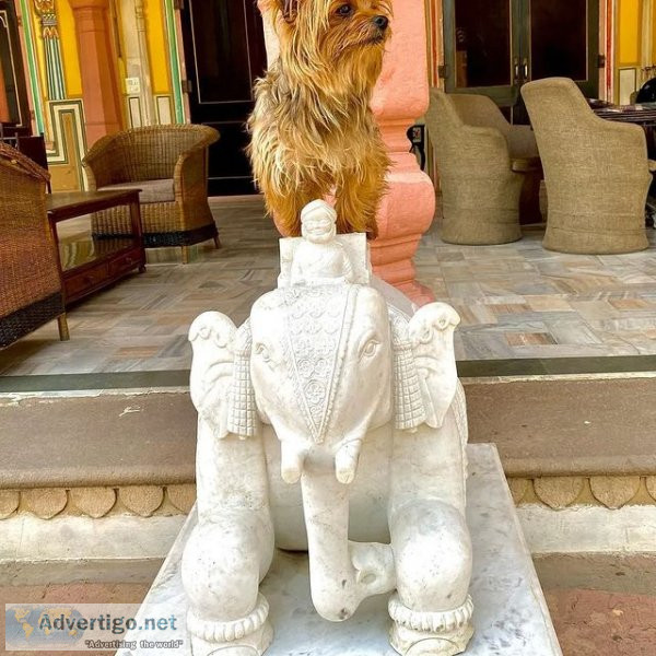Book best heritage hotel venues in jaipur rajasthan