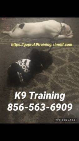 Ur k9 responding to u