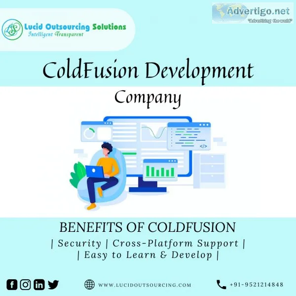 Custom Software Development Company | Lucid Outsourcing Solution