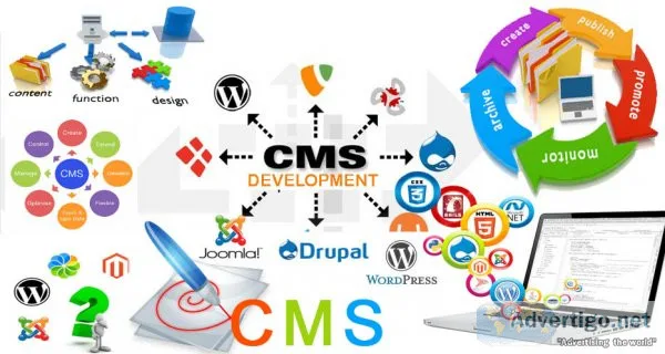 Web development company