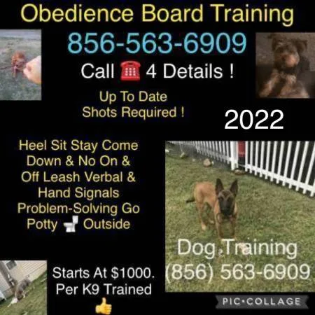 Pro potty k9 training commands