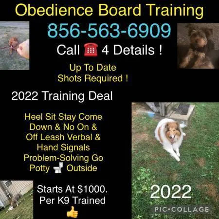 Obedience k9 guarantee