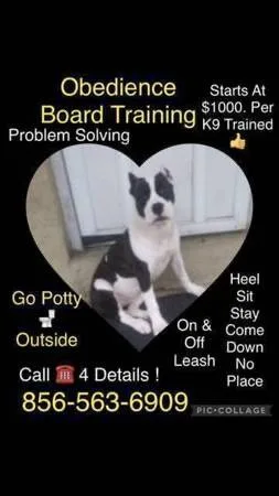 Obedience k9 guarantee