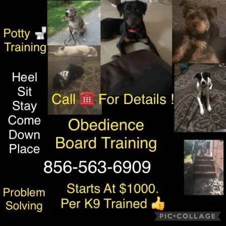 Obedience k9 guarantee